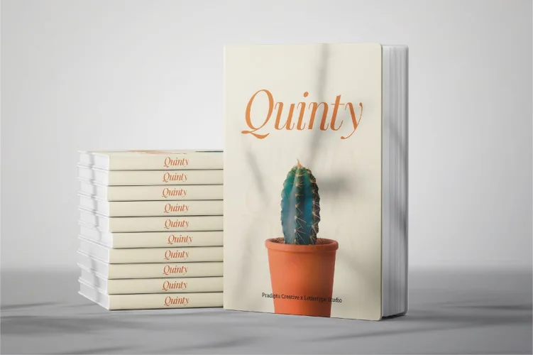 Quinty a Luxury Serif Font Family preview 1 – Serif Fonts font sample