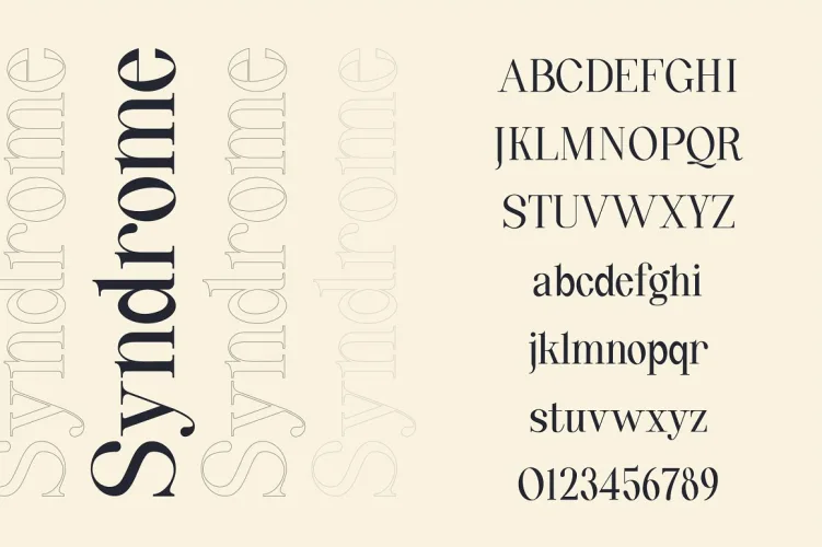Quinty a Luxury Serif Font Family preview 3 – Serif Fonts font sample