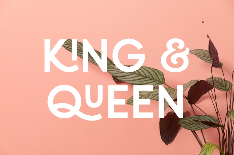 Quirk Font free download preview 3 – Display Fonts font