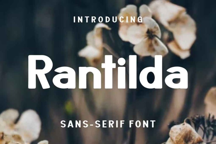 Rantilda Font free download preview 4 – Sans Serif Fonts font