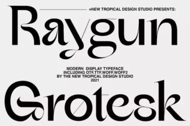 Raygun Font free download – Display Fonts preview