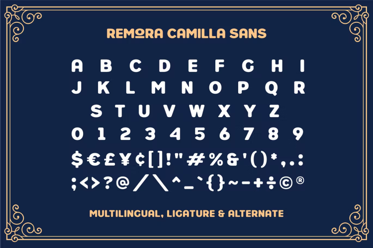 Remora Camilla Display Font free download preview 3 – Sans Serif Fonts font