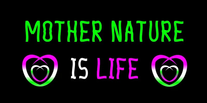 Ribbonshoe Font preview 2 – Font Family font sample