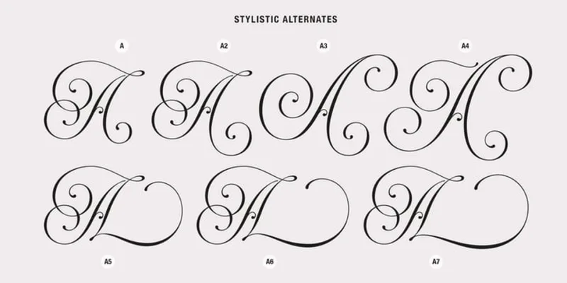 Rocksane Display Font Family preview 6 – Display Fonts font sample