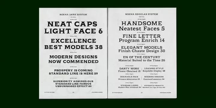 Rokha Font Family preview 1 – Font Family font sample