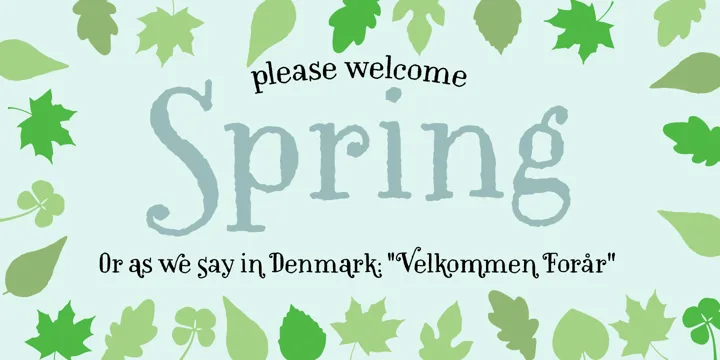 Rookie Heat Font preview 3 – Display Fonts font sample