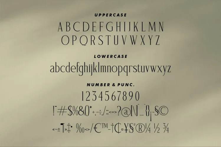 Saegathe Modern Serif Font preview 4 – Serif Fonts font sample