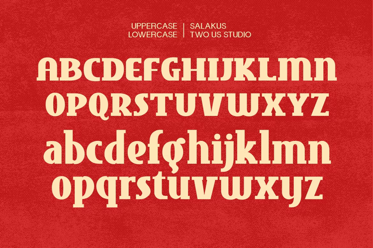 Salakus Vintage Font free download preview 2 – Serif Fonts font