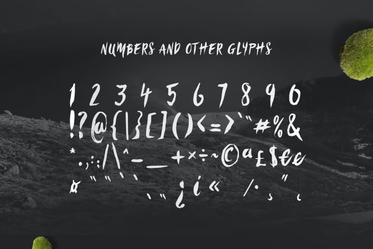 Sanös Extended Script Font free download preview 3 – Serif Fonts font