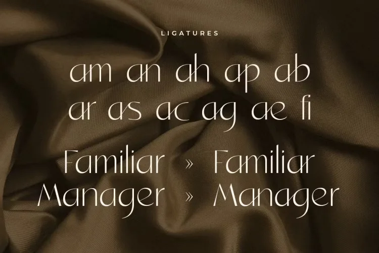 Santiago Font preview 1 – Sans Serif Fonts font sample