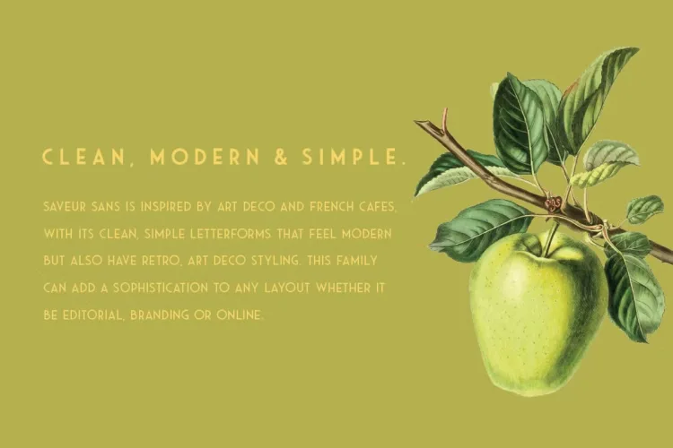 Saveur Sans Font preview 1 – Display Fonts font sample