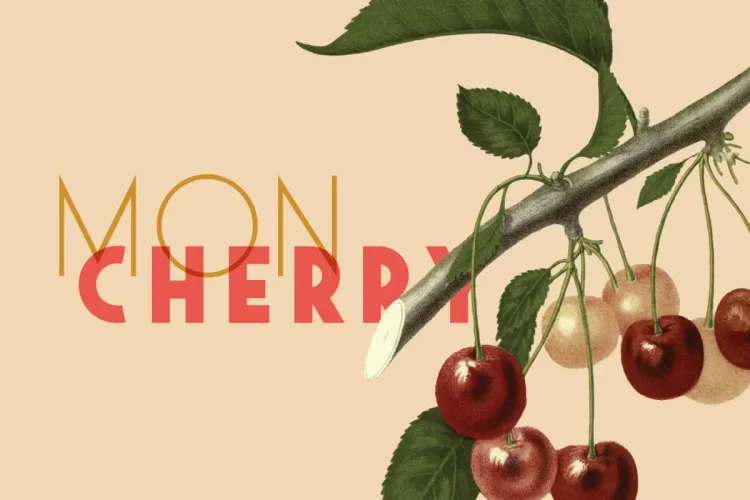 Saveur Sans Font preview 5 – Display Fonts font sample