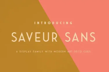 Saveur Sans Font free download – Display Fonts preview