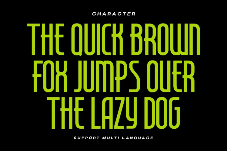 Seattle Highland – Condensed Font preview 3 – Display Fonts font sample