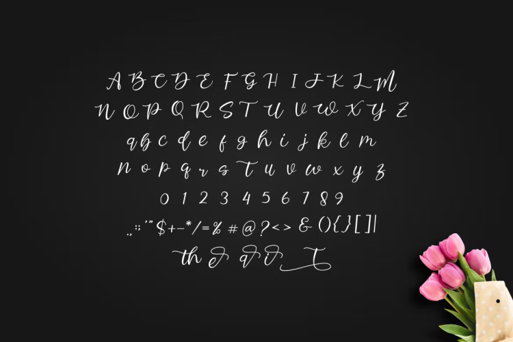 Sedeiteia Font free download preview 2 – Script And Handwritten font