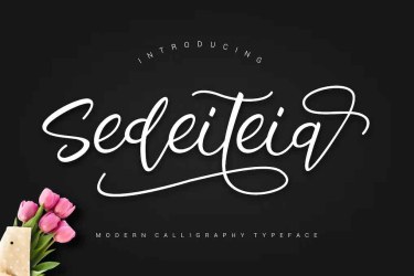 Sedeiteia Font free download – Sedeiteia Font font preview