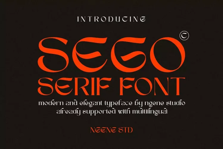 Sego Serif Font preview 11 – Serif Fonts font sample