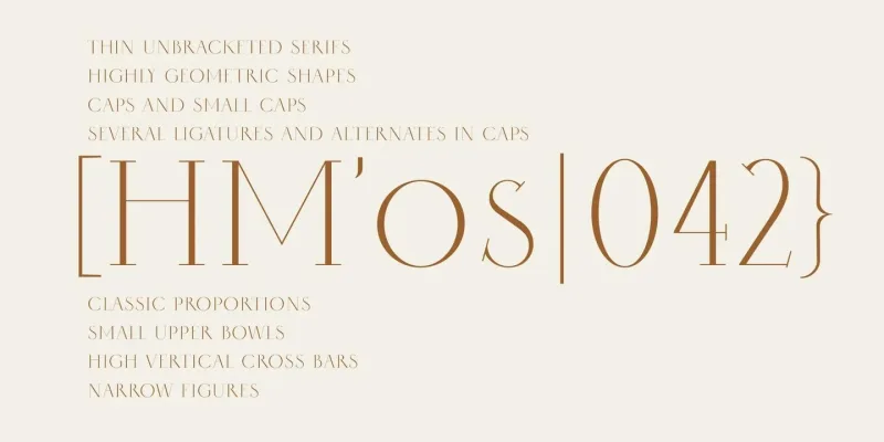 Selini Display Font preview 3 – Display Fonts font sample