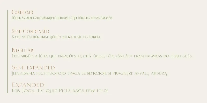 Selini Display Font preview 9 – Display Fonts font sample