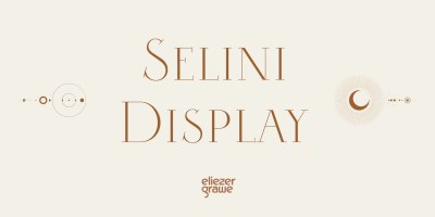 Selini Display Font free download – Display Fonts font preview