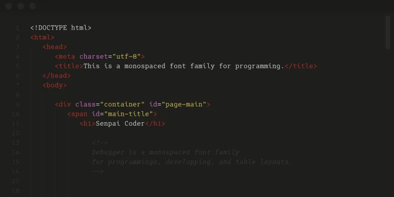 Senpai Coder Font Family preview 3 – Font Family font sample