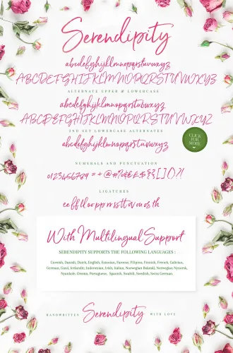Serendipity Font preview 8 – Script And Handwritten font sample