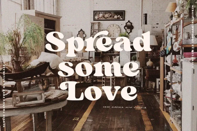 Sergio Trendy Font preview 6 – Serif Fonts font sample