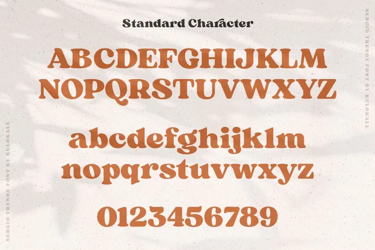 Sergio Trendy Font preview 7 – Serif Fonts font sample
