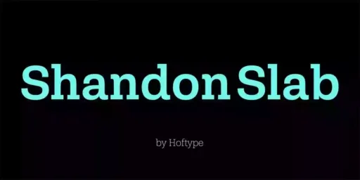 Shandon Slab Font Family preview 6 – Slab Serif Fonts font sample