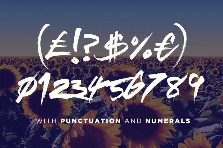 Sickamore Font preview 4 – Display Fonts font sample