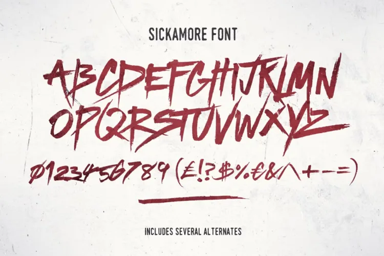 Sickamore Font preview 5 – Display Fonts font sample