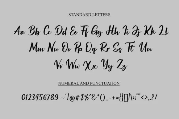 Silver South Font preview 3 – Script And Handwritten font sample