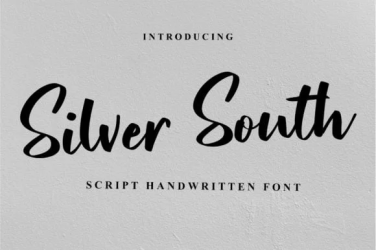 Silver South Font free download – Serif font preview