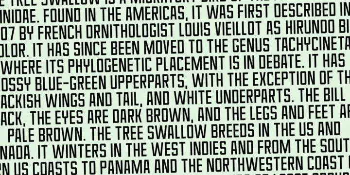 Spitzenklasse Font Family preview 7 – Font Family font sample
