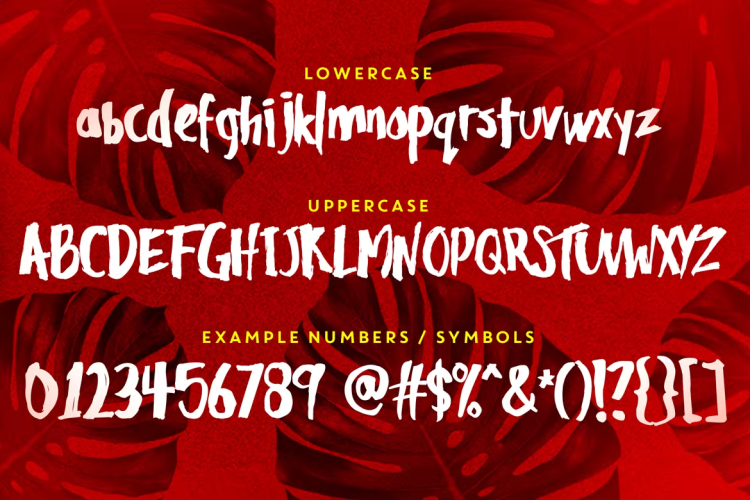 Sunrise Waves Font free download preview 2 – Sans Serif Fonts font
