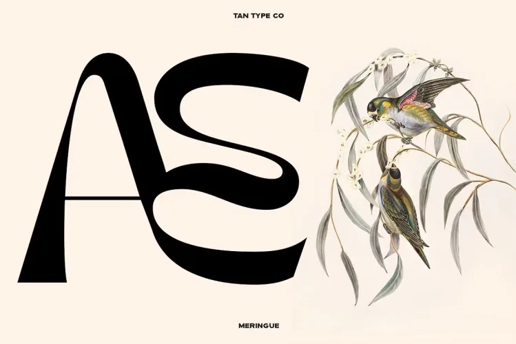 TAN MERINGUE Font preview 3 – Display Fonts font sample