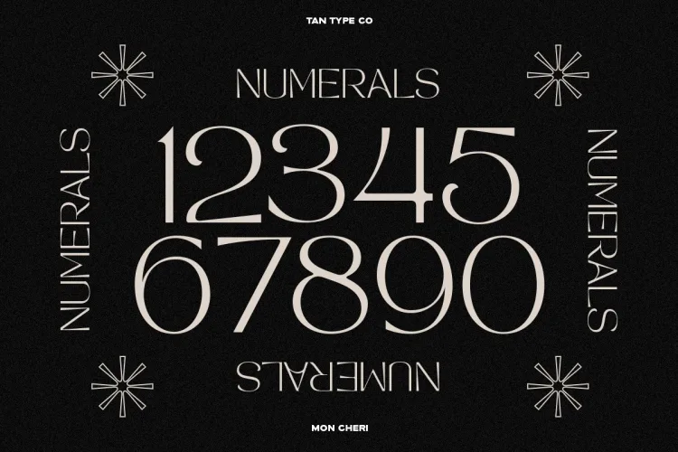 TAN MON CHERI FONT preview 10 – Serif Fonts font sample