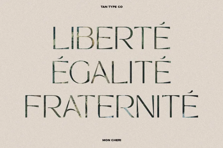 TAN MON CHERI FONT preview 5 – Serif Fonts font sample