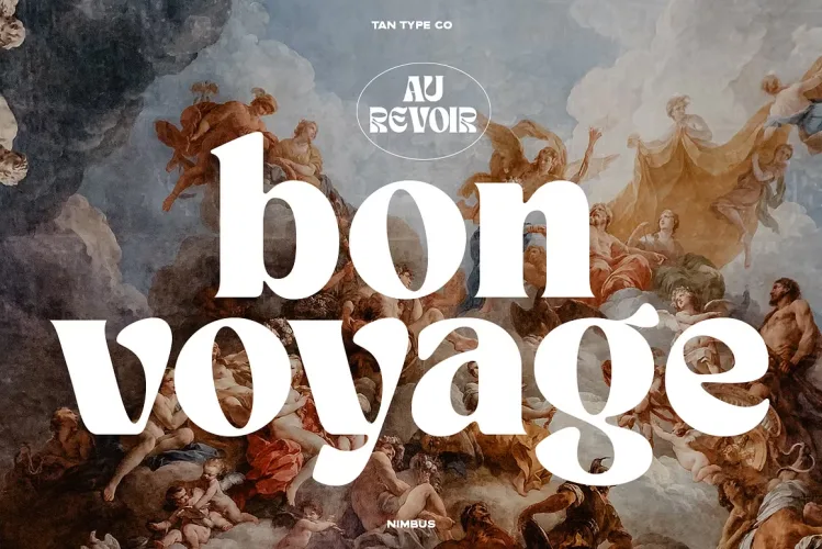 TAN NIMBUS Font preview 4 – Display Fonts font sample