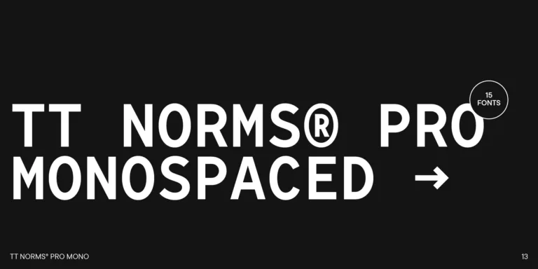 TT Norms Pro Font Family preview 2 – Sans Serif Fonts font sample