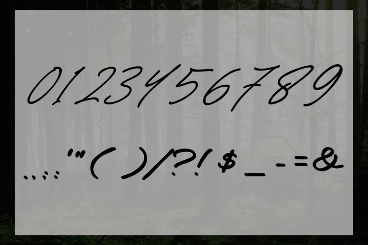 Tabitha Script Font free download preview 1 – Script And Handwritten font
