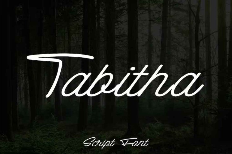 Tabitha Script Font free download preview 3 – Script And Handwritten font