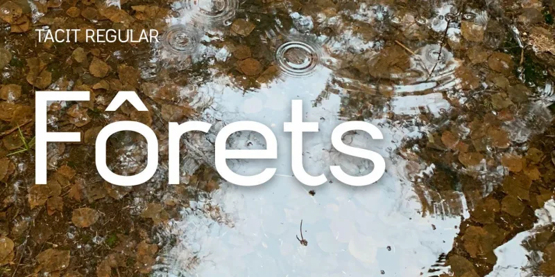 Tacit Font preview 3 – Typeface font sample