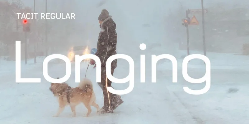Tacit Font preview 9 – Typeface font sample