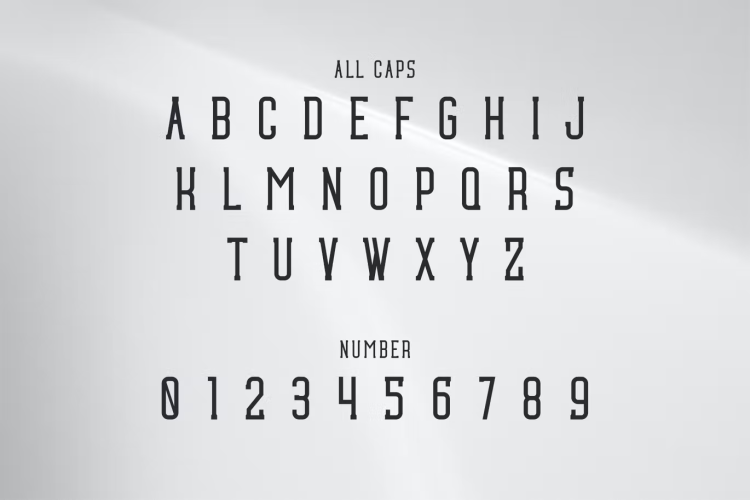 Tepoid Font free download preview 3 – Serif Fonts font