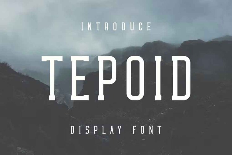 Tepoid Font free download preview 4 – Serif Fonts font