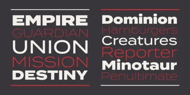 Termina Font Family preview 1 – Sans Serif Fonts font sample