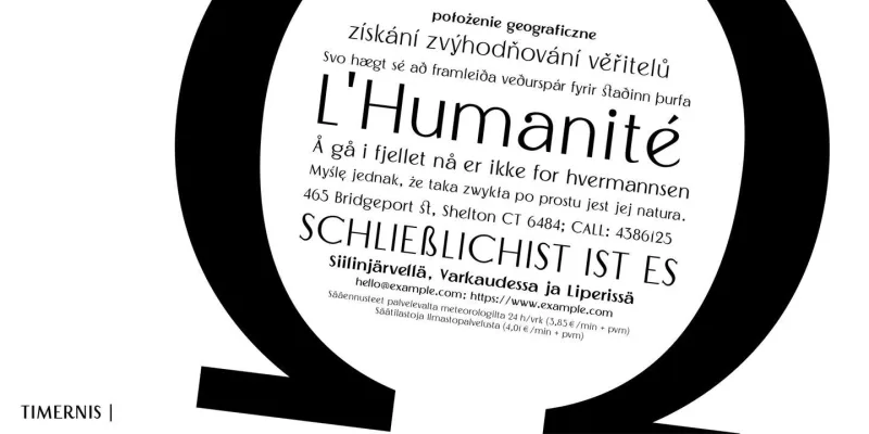 Timernis Font Family preview 5 – Sans Serif Fonts font sample