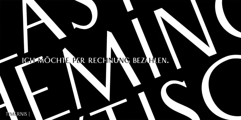 Timernis Font Family preview 6 – Sans Serif Fonts font sample