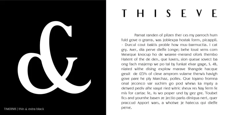Timernis Font Family preview 7 – Sans Serif Fonts font sample